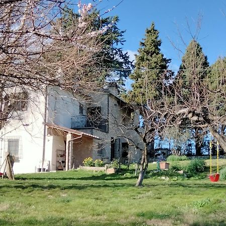 Casale Del Tempo Lento Bed and Breakfast Νάρνη Εξωτερικό φωτογραφία