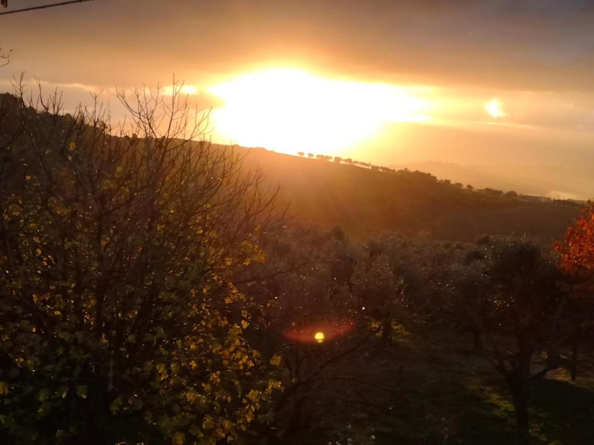 Casale Del Tempo Lento Bed and Breakfast Νάρνη Εξωτερικό φωτογραφία
